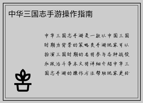中华三国志手游操作指南